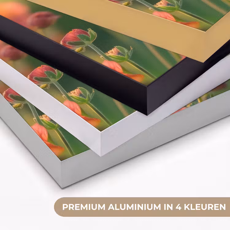 Art Frame - Bloemenveld - Zonnestralen - Oranje — 2