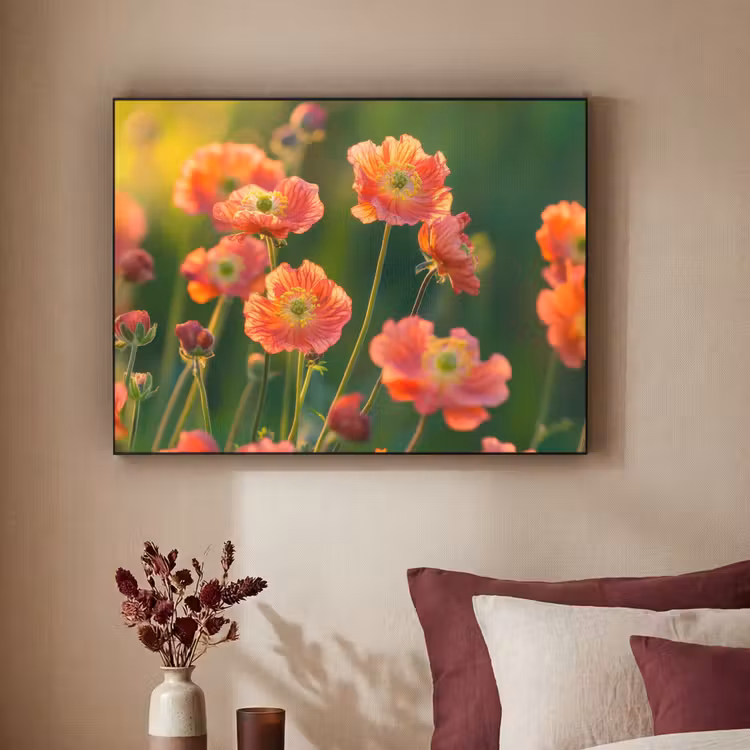 Art Frame - Bloemenveld - Zonnestralen - Oranje — 3