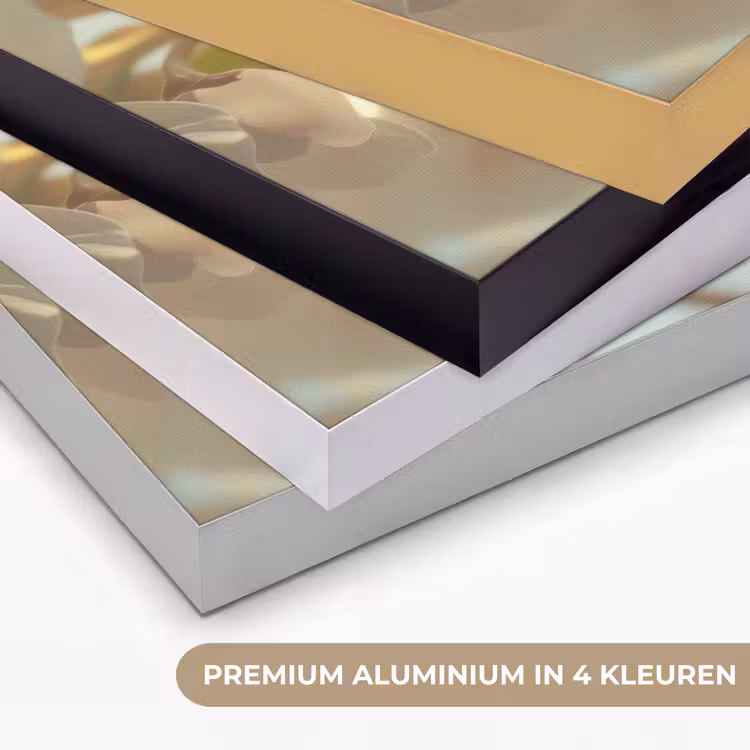 Art Frame - Bloesems - Wit - Zonnestralen - Bloemblaadjes — 2