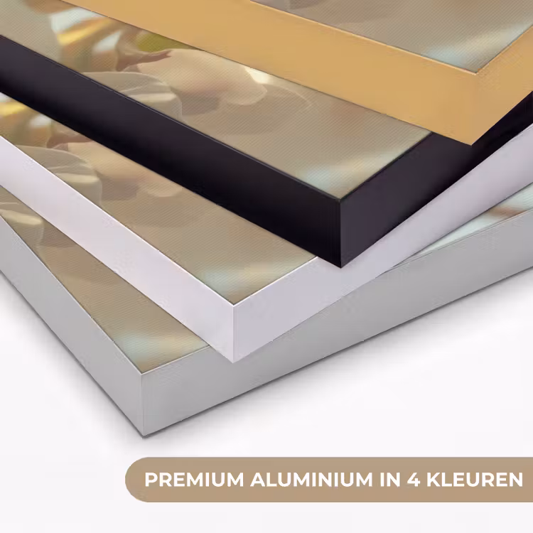 Art Frame - Bloesems - Zonlicht - Quote - Wit — 2