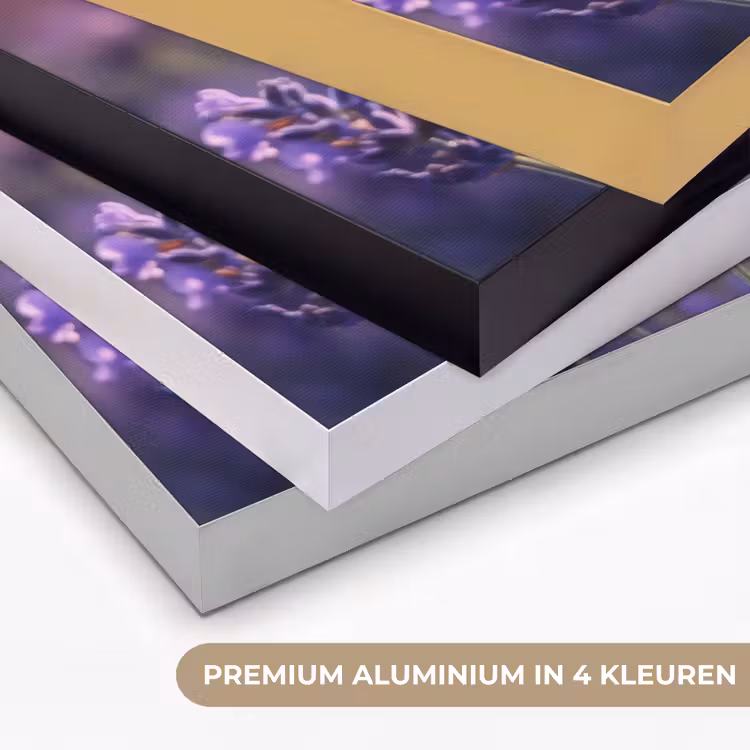 Art Frame - Lavendelbloemen - Paars - Zonlicht — 2