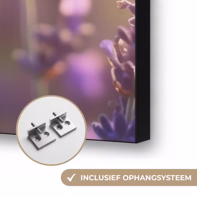 Art Frame - Lavendelbloemen - Paars - Zonlicht — 6