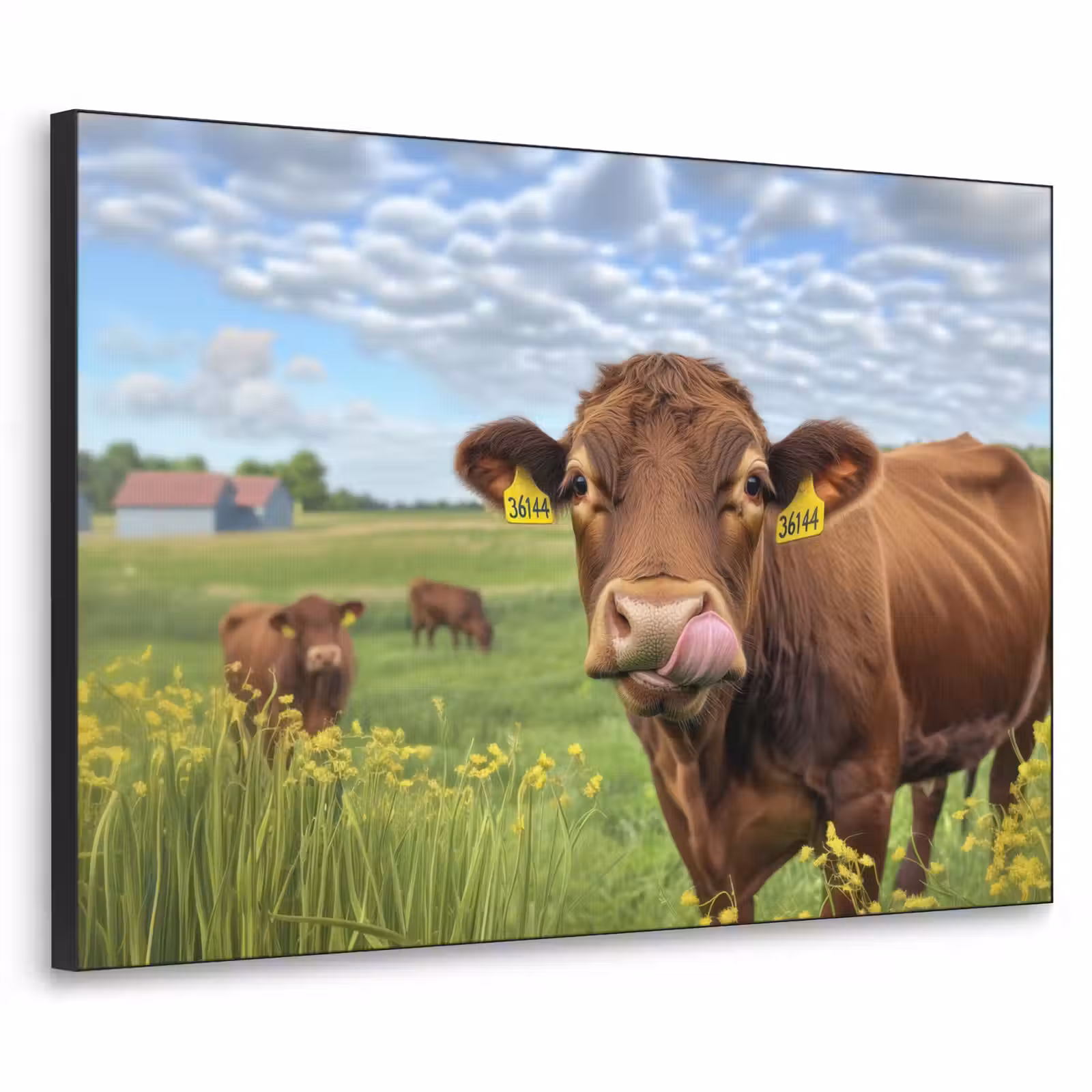 Art Frame - Koe - Weide - Bloemen — 1