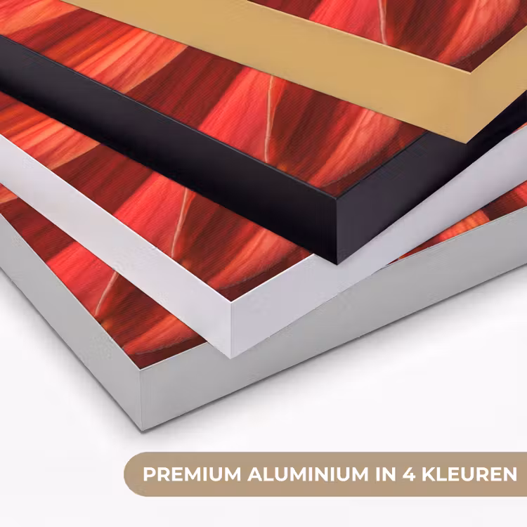 Art Frame - Close up - Bloem - Quote - Rood — 2