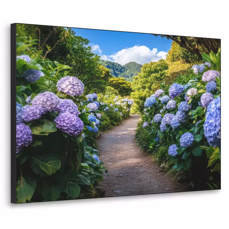 Art Frame - Hortsensia - Pad - Bloemen — 1