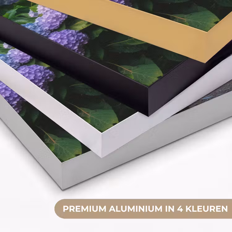 Art Frame - Hortsensia - Pad - Bloemen — 2