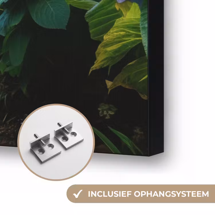 Art Frame - Hortsensia - Pad - Bloemen — 6