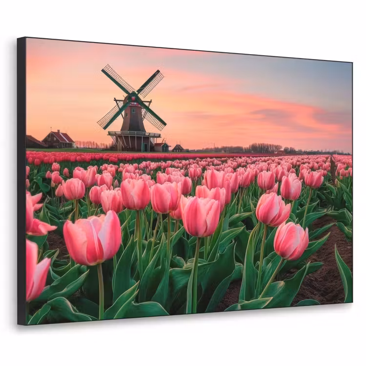 Art Frame - Tulpen - Molen - Nederland — 1
