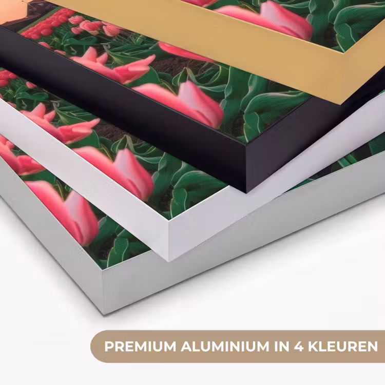 Art Frame - Tulpen - Molen - Nederland — 2