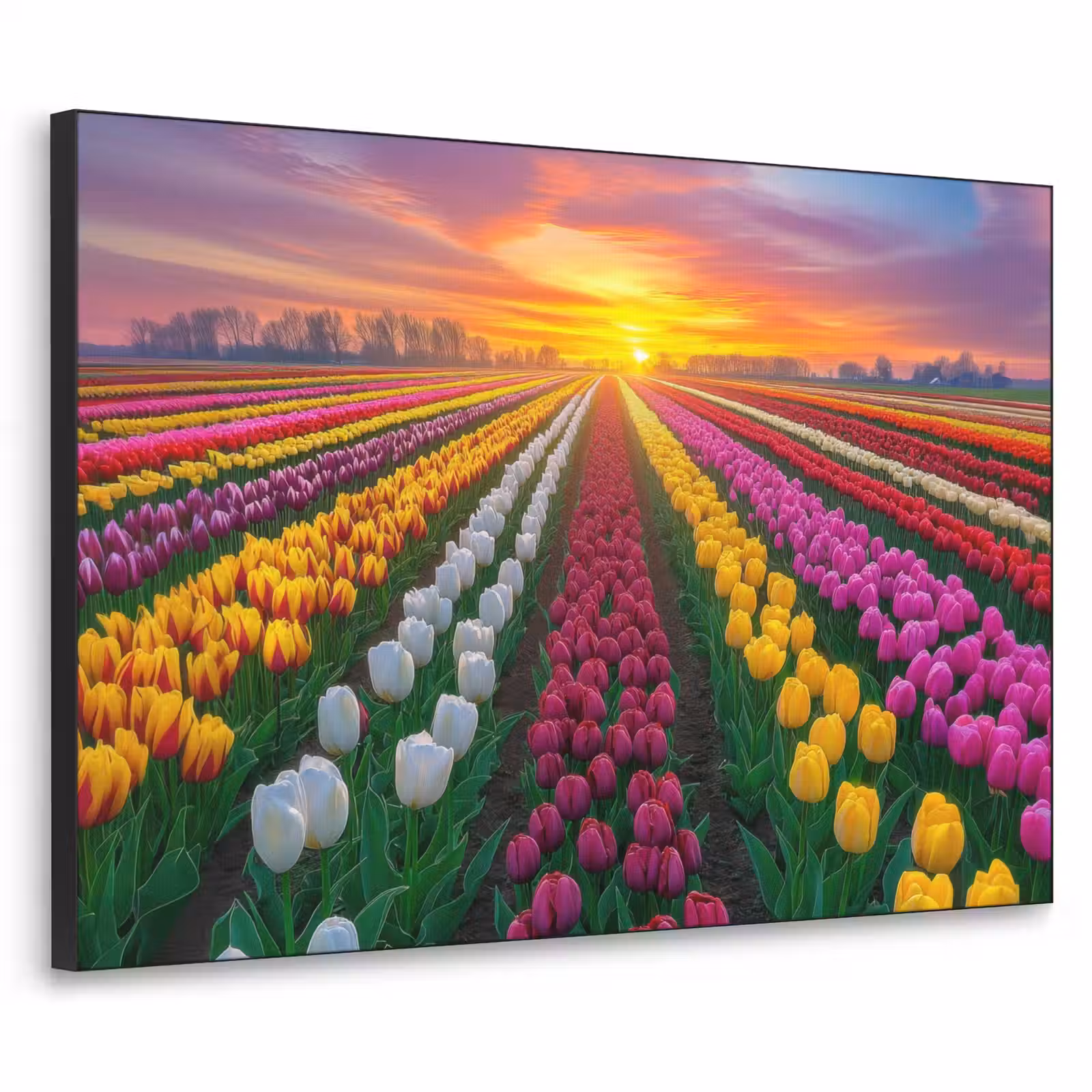 Art Frame - Tulpenveld - Zonsondergang - Kleurrijk — 1