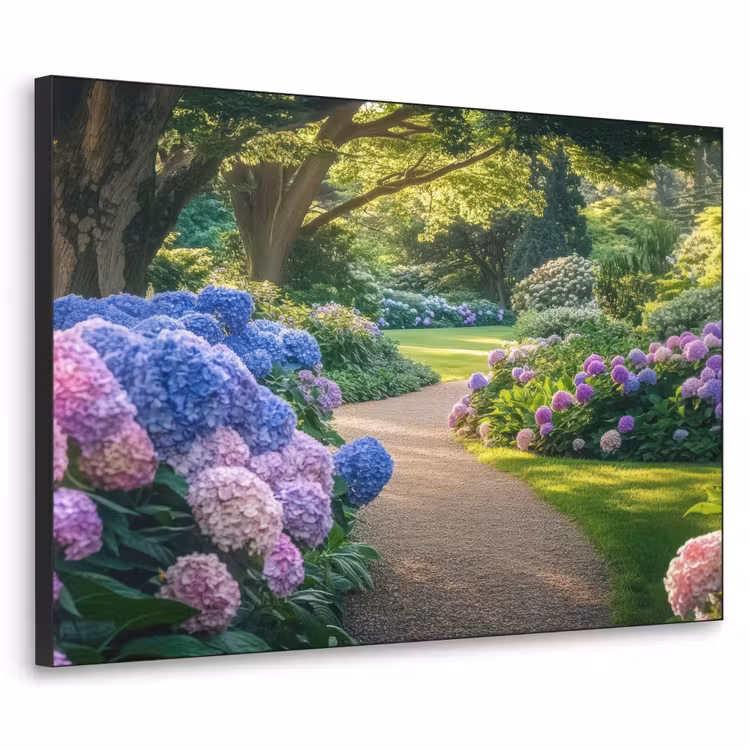 Art Frame - Hortensia- Park - Pad — 1