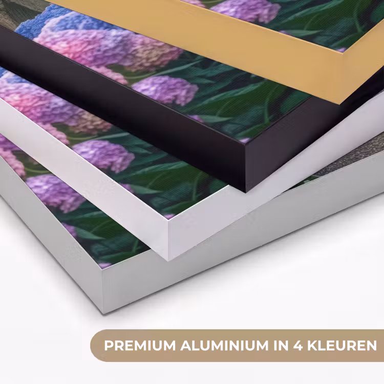 Art Frame - Hortensia- Park - Pad — 2