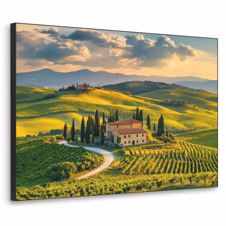 Art Frame - Toscane - Landschap - Wijngaarden — 1