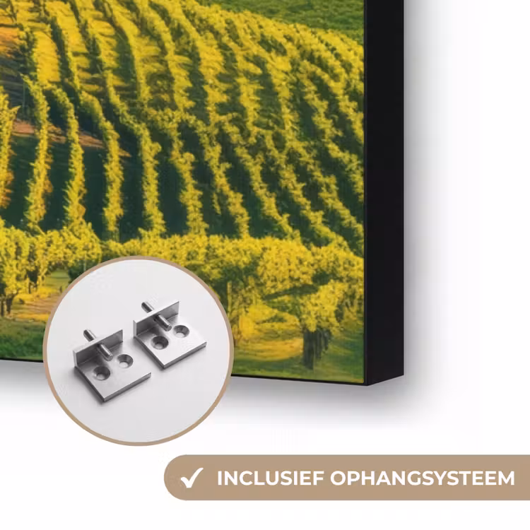 Art Frame - Toscane - Landschap - Wijngaarden — 6