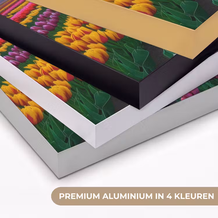 Art Frame - Tulpenveld - Zonsondergang - Kleurrijk — 2