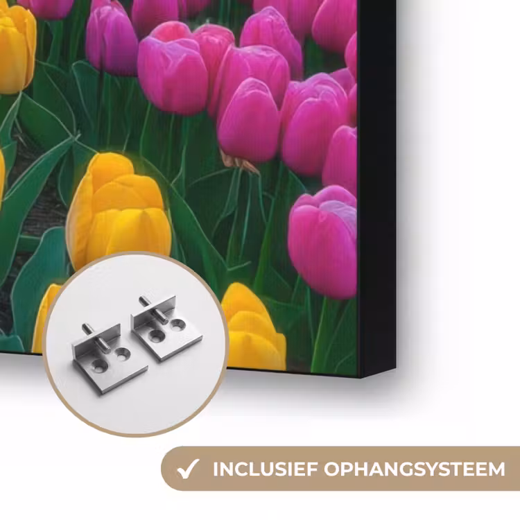 Art Frame - Tulpenveld - Zonsondergang - Kleurrijk — 6