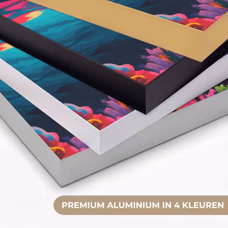 Art Frame - Dolfijn - Kleurrijk - Oceaan - Koraal — 2