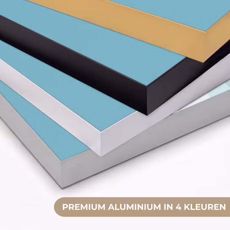 Art Frame - Ijsbeer - Lichtblauw - Minimalistisch — 2