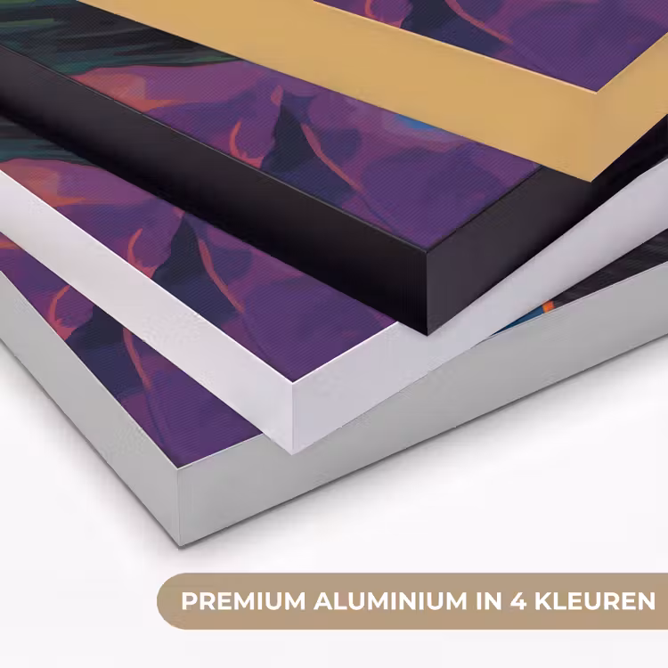 Art Frame - Kikker - Felgekleurd - Tak - Regenboog — 2