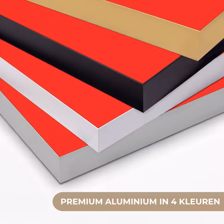 Art Frame - Kikker - Kleurrijk - Strepen - Ogen — 2