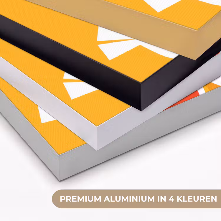Art Frame - Kippen - Oranje - Vlakken — 2