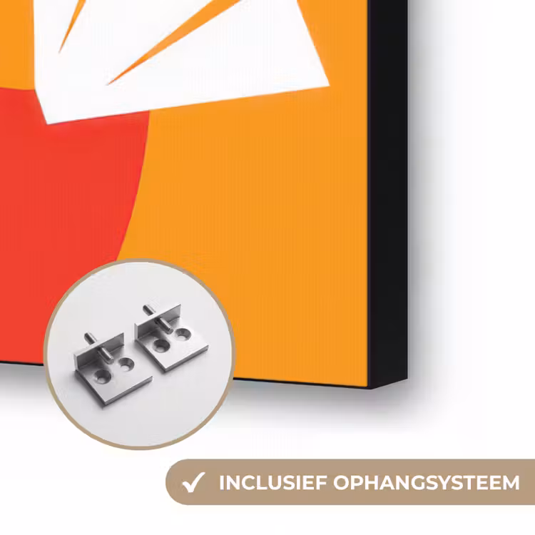 Art Frame - Kippen - Oranje - Vlakken — 6