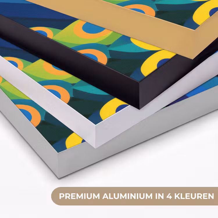 Art Frame - Pauw - Cirkels - Blauw — 2