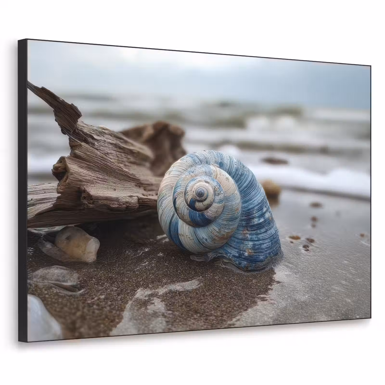 Art Frame - Schelp - Strand - Blauw - Zee — 1