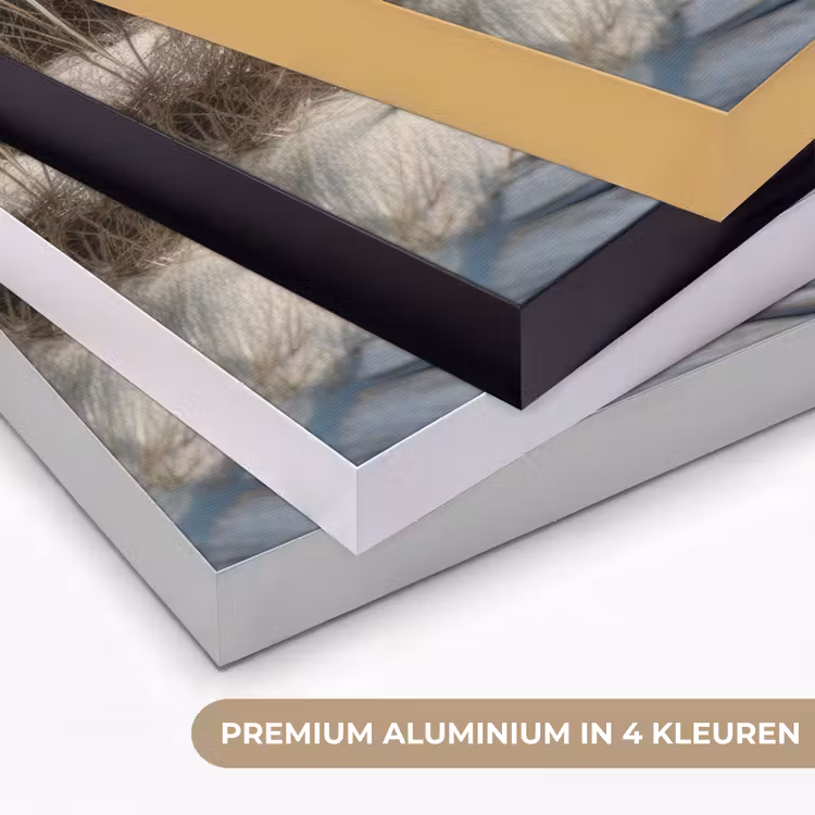 Art Frame - Pad - Planken - Duinen - Gras — 2