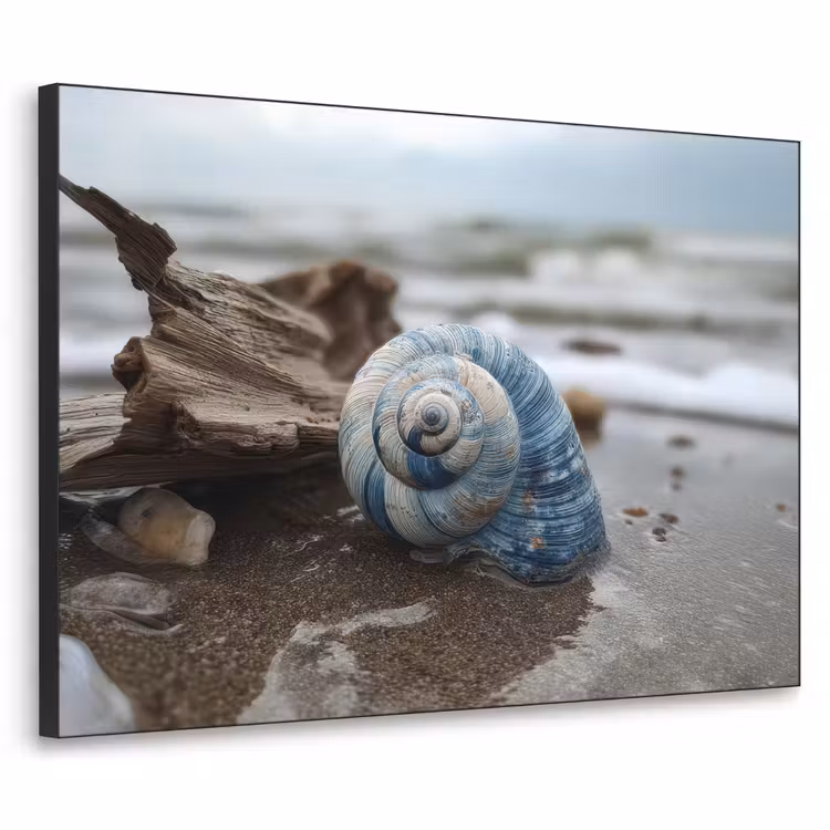 Art Frame - Schelp - Strand - Blauw - Zee — 1