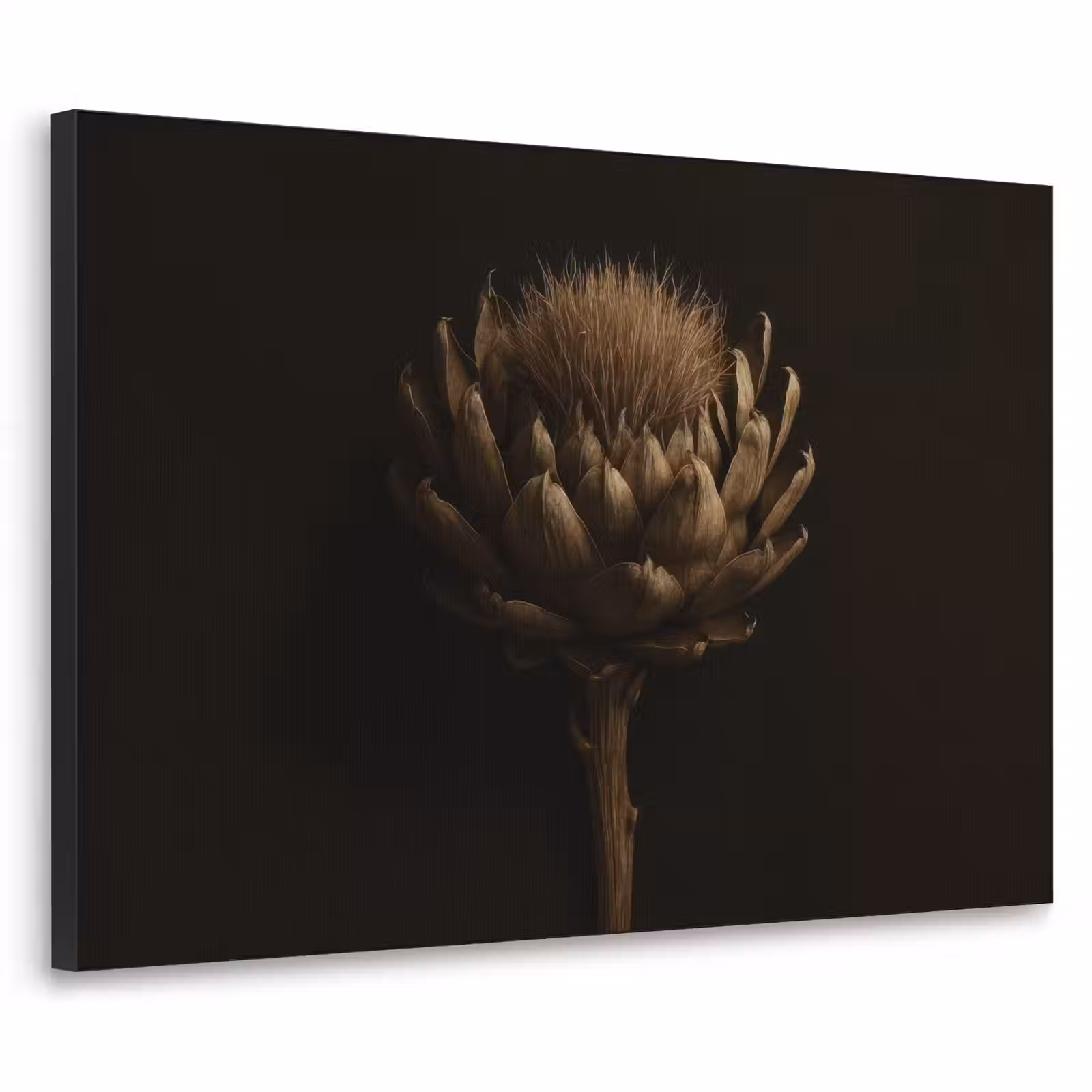 Art Frame - Donkerbruin - Bloem - Textuur - Artisjok — 1