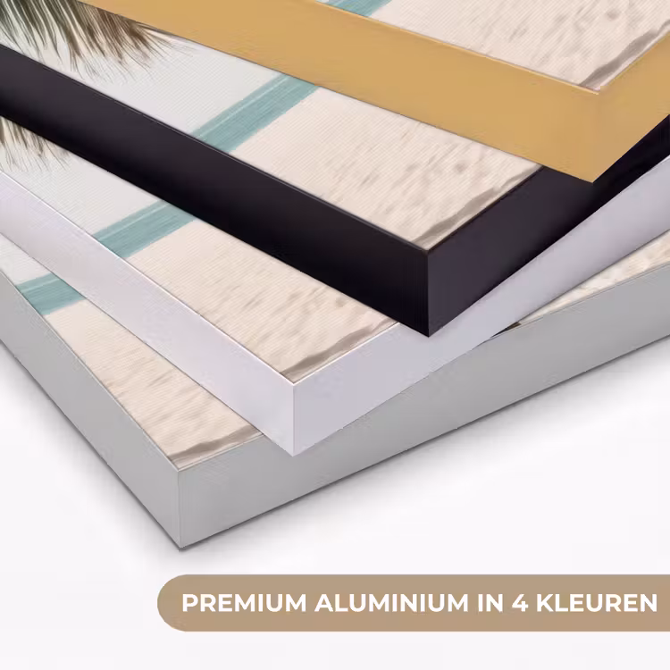 Art Frame - Hangmat - Palmbomen - Strand - Zee — 2