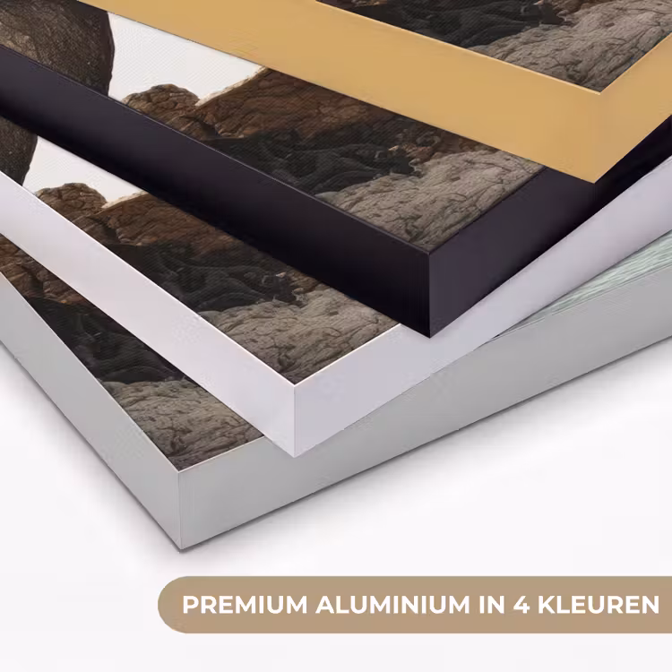 Art Frame - Rotsen - Zee - Boom - Groen — 2