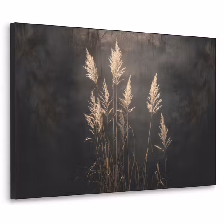 Art Frame - Siergras - Pluimen - Verlichting - Zwart — 1