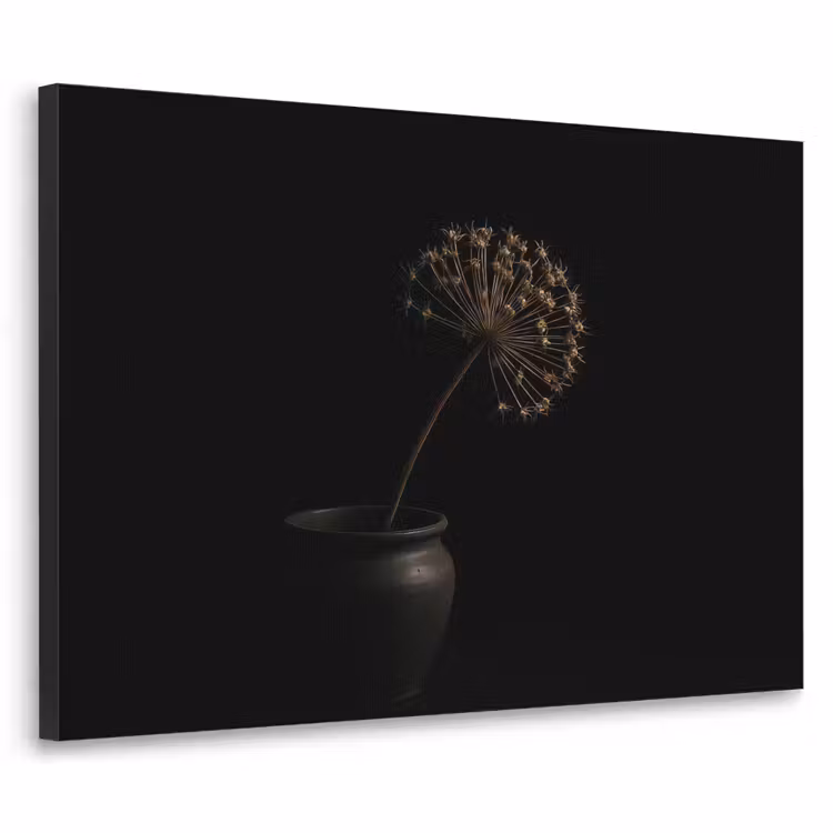 Art Frame - Bol - Gedroogd - Vaas - Zwart — 1