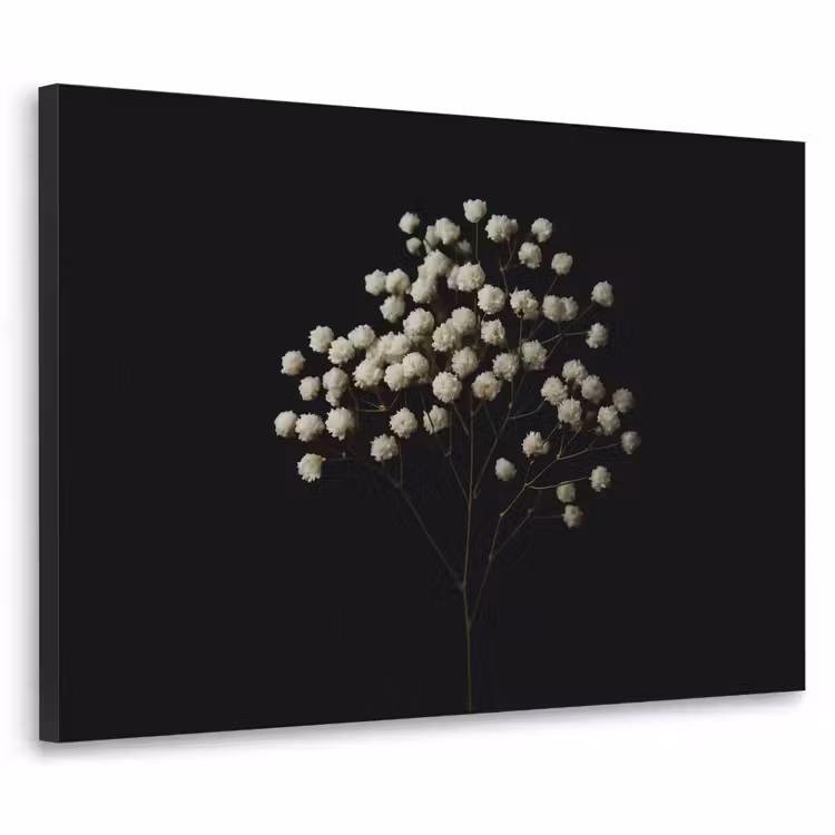 Art Frame - Gipskruid - Bloemetjes - Wit - Minimalistisch — 1