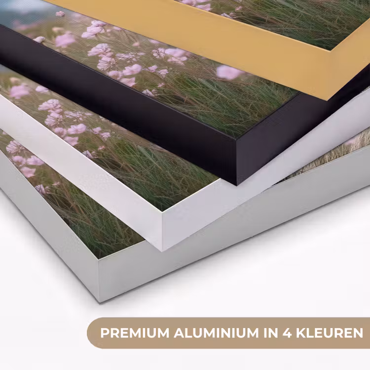 Art Frame - Klif - Bloemen - Zee - Roze — 2