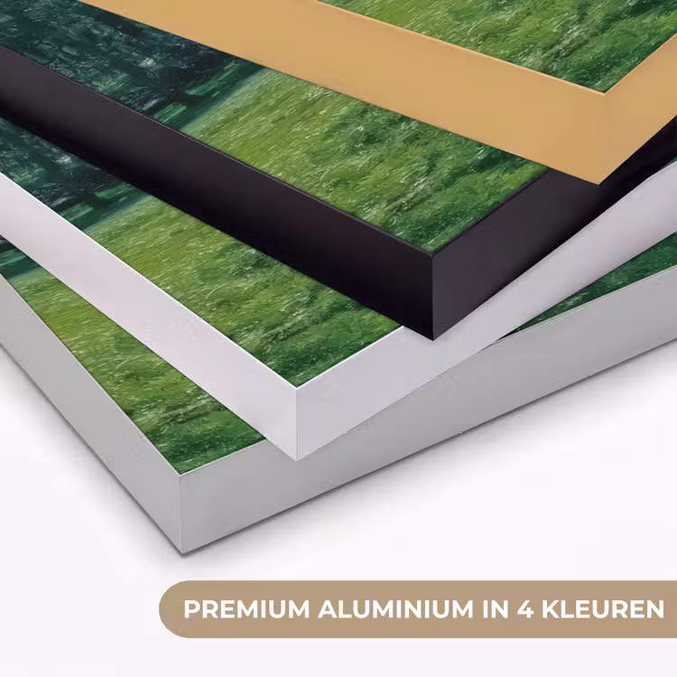 Art Frame - Vrouw - Boom - Boek - Mandje — 2