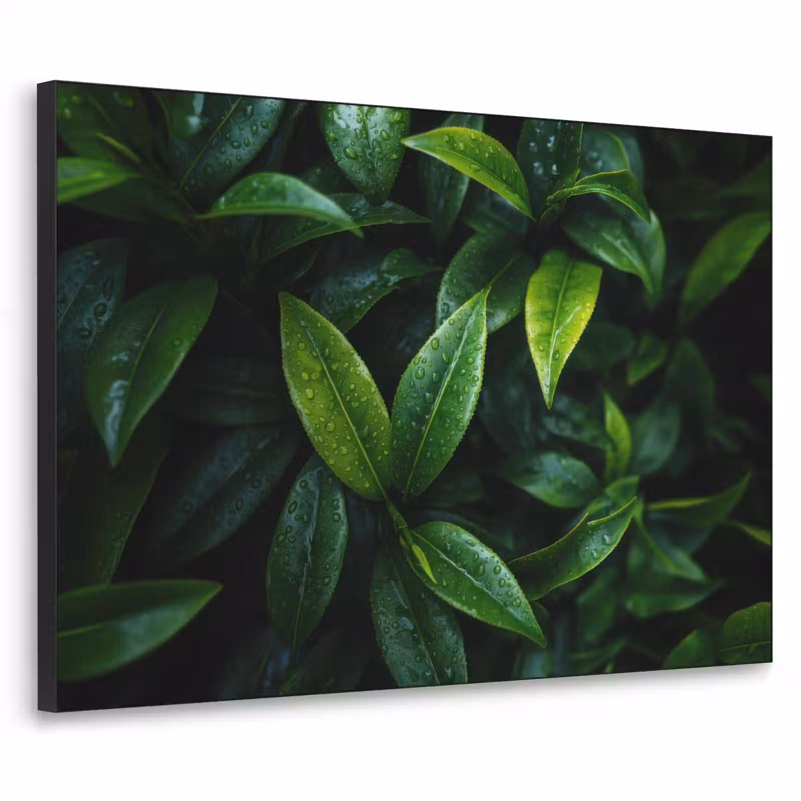 Art Frame - Bladeren - Regendruppels - Licht - Groen — 1