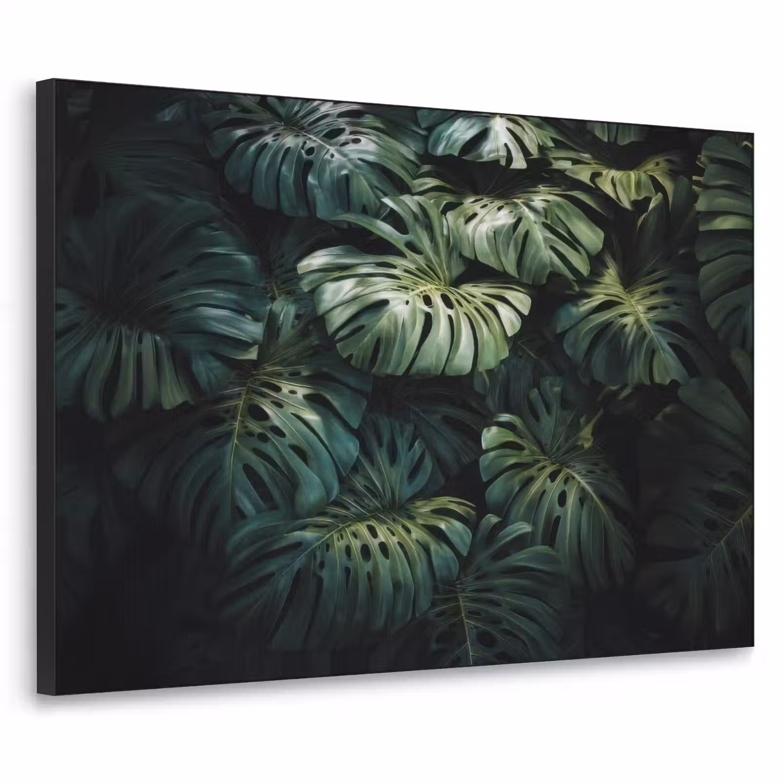 Art Frame - Plant - Monstera - Lichtinval — 1