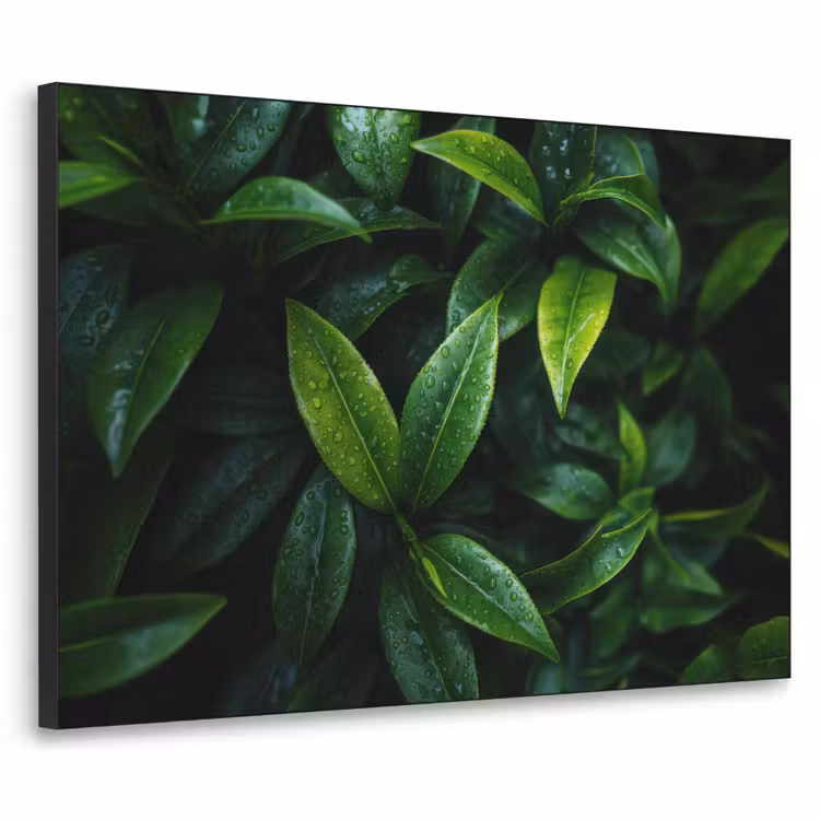 Art Frame - Bladeren - Regendruppels - Licht - Groen — 1