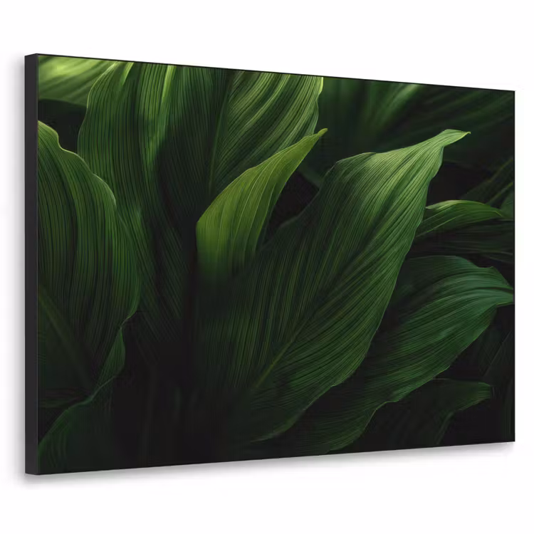 Art Frame - Bladeren - Schaduw - Groen - Textuur — 1