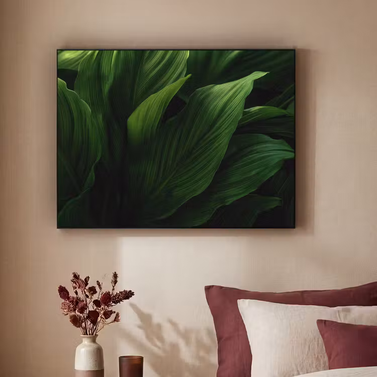 Art Frame - Bladeren - Schaduw - Groen - Textuur — 3