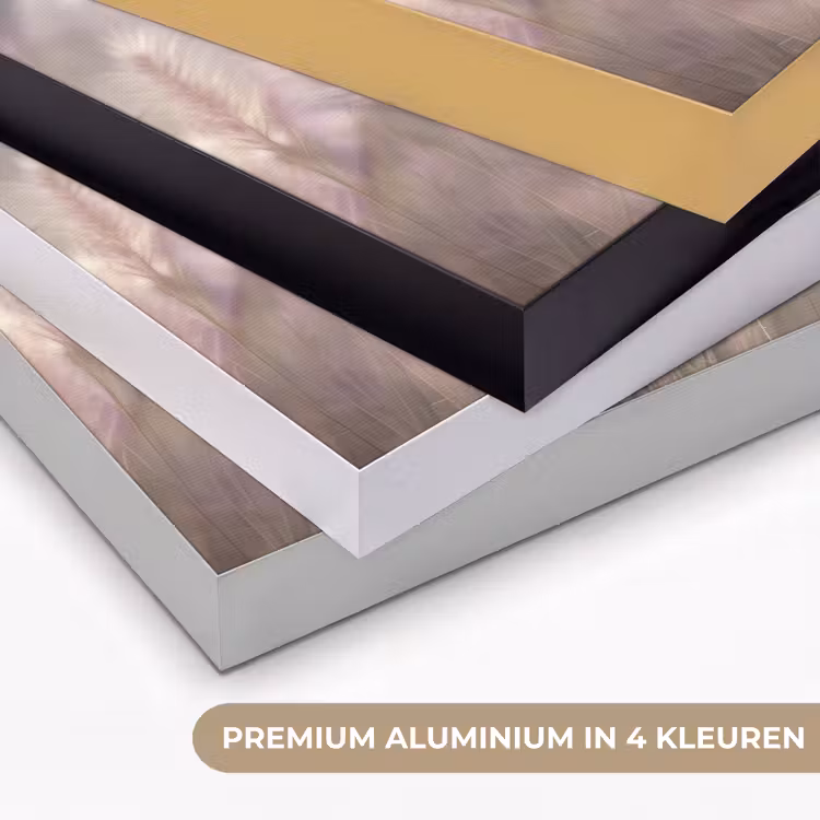 Art Frame - Graspluimen - Wind - Beige - Mistig — 2