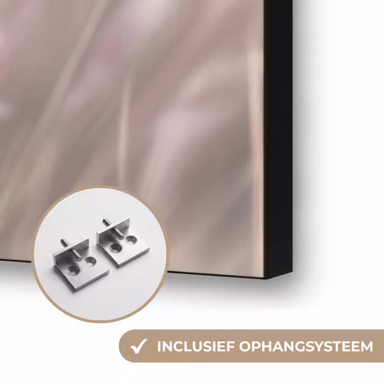 Art Frame - Graspluimen - Wind - Beige - Mistig — 6