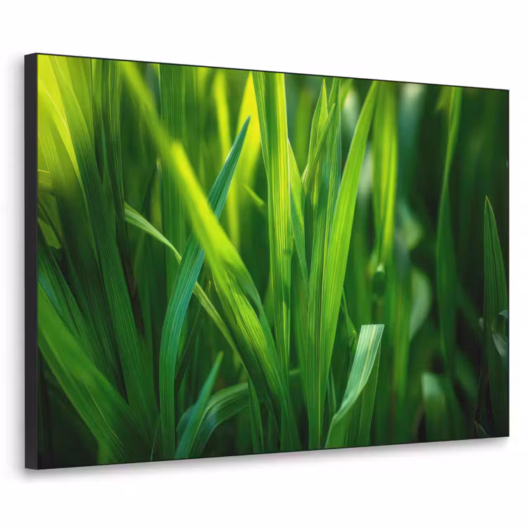 Art Frame - Grassprieten - Lichtinval - Groen — 1