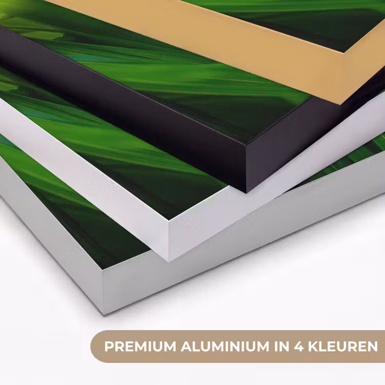 Art Frame - Grassprieten - Lichtinval - Groen — 2