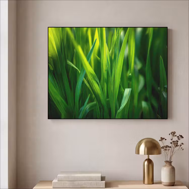 Art Frame - Grassprieten - Lichtinval - Groen — 5