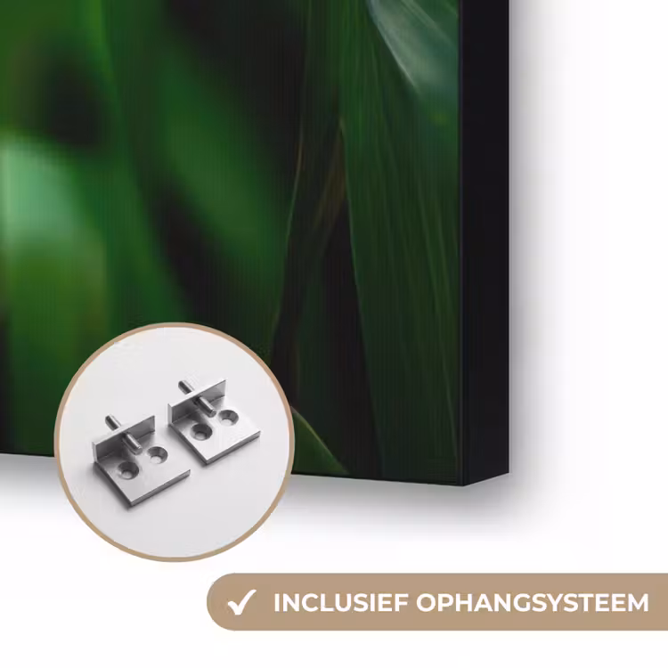 Art Frame - Grassprieten - Lichtinval - Groen — 6
