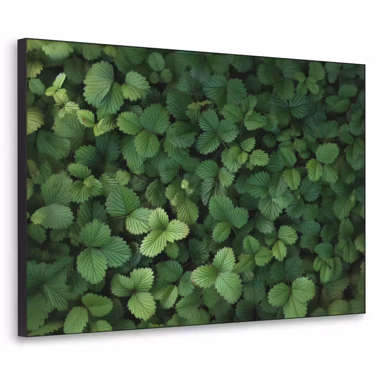 Art Frame - Groen - Bladeren - Kartel - Zonlicht — 1